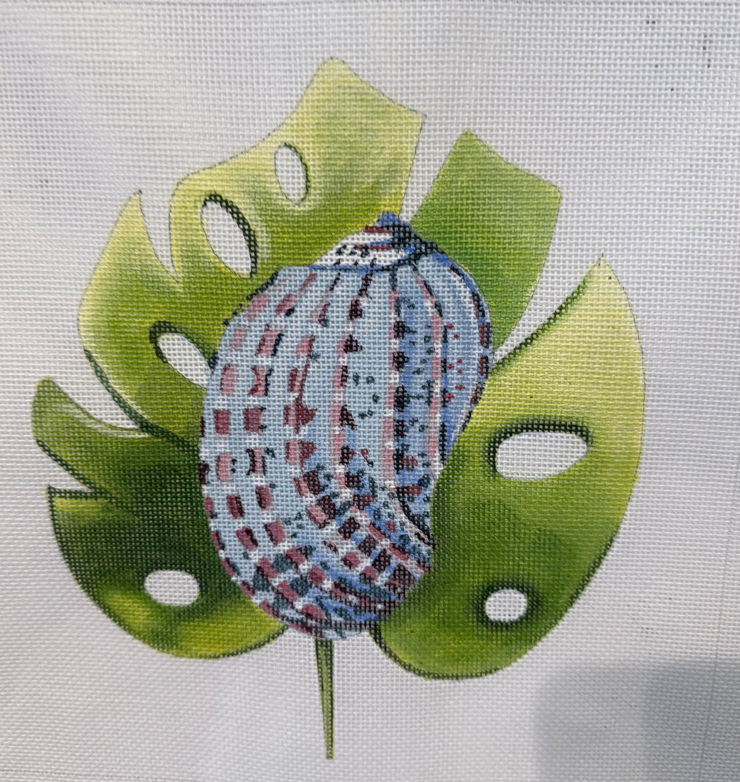 Shell on Leaf
