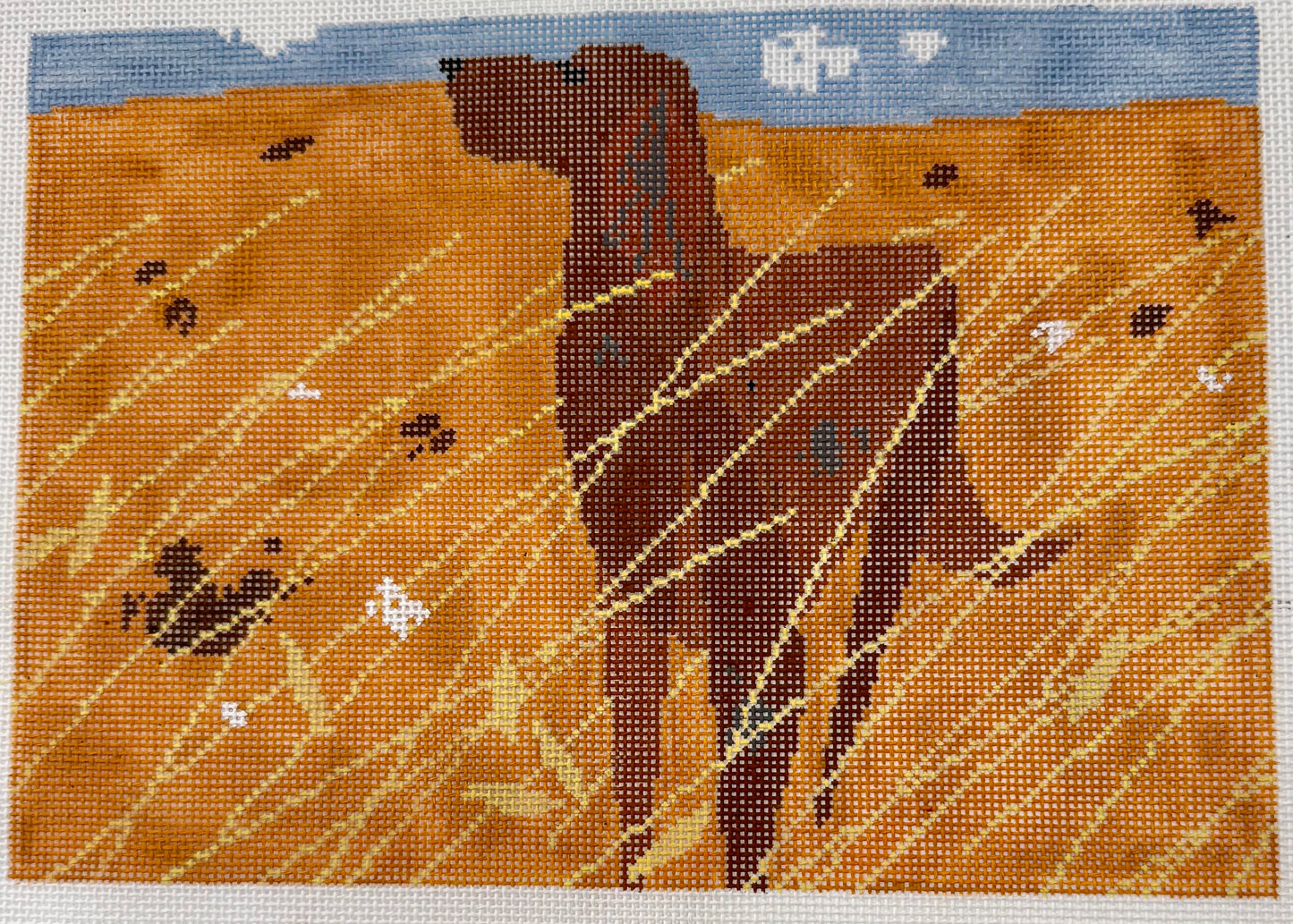 Dog in a Field