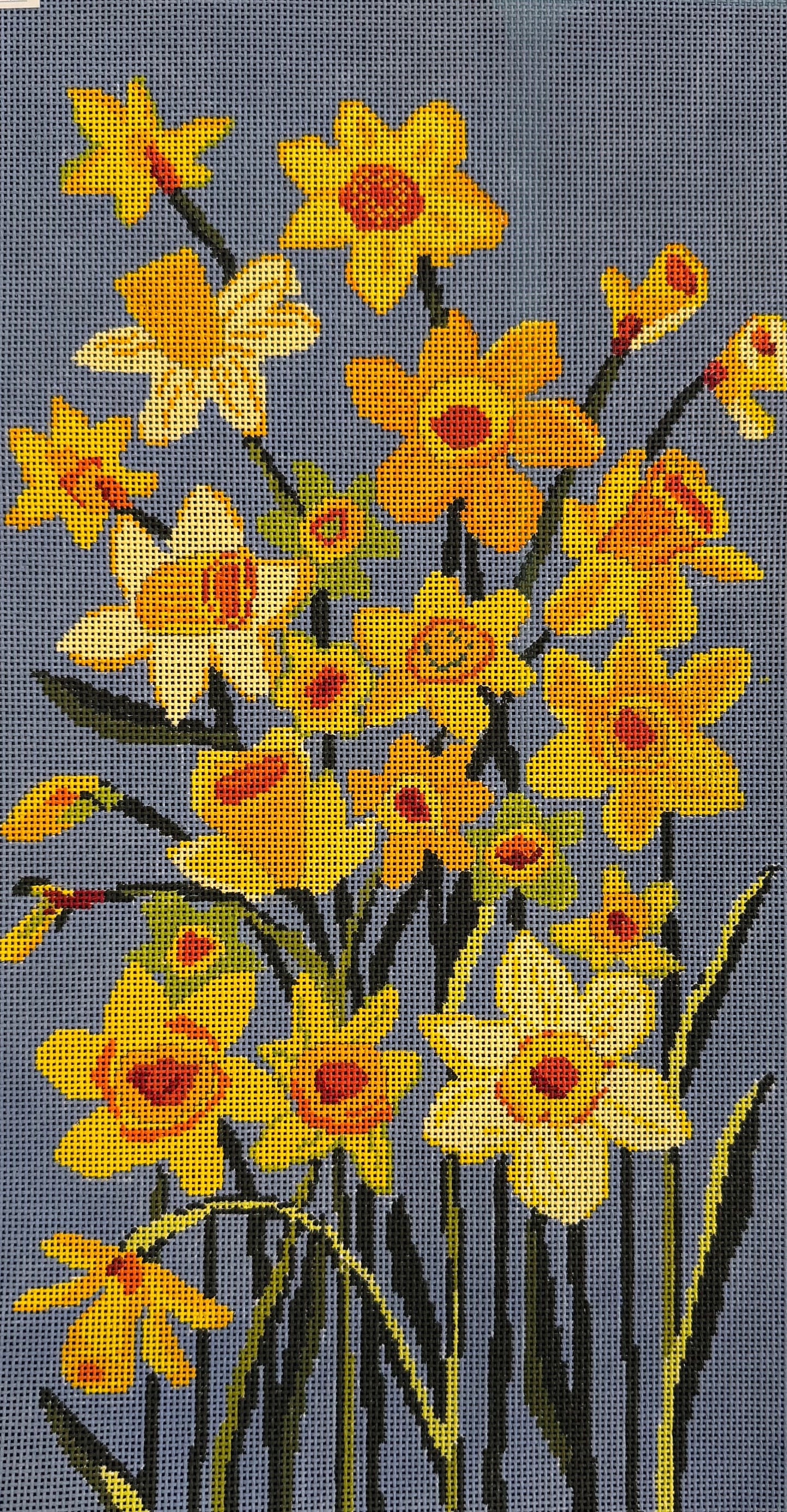 Daffodils