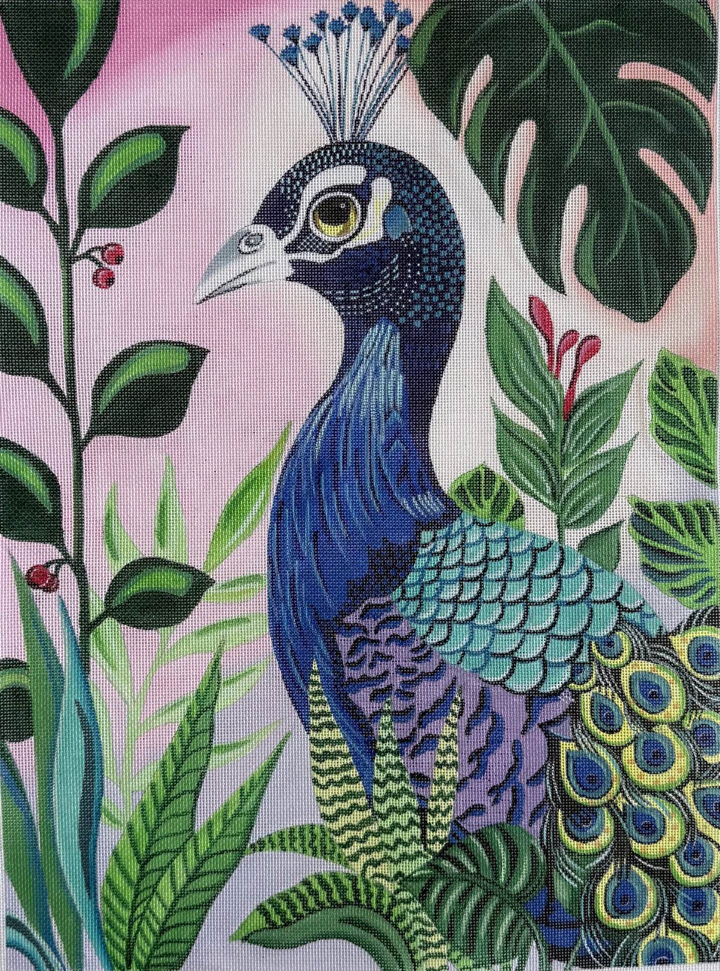 Peacock in Garden