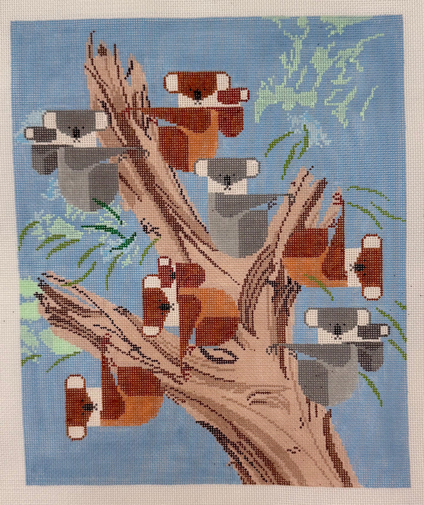 Koalas In Tree