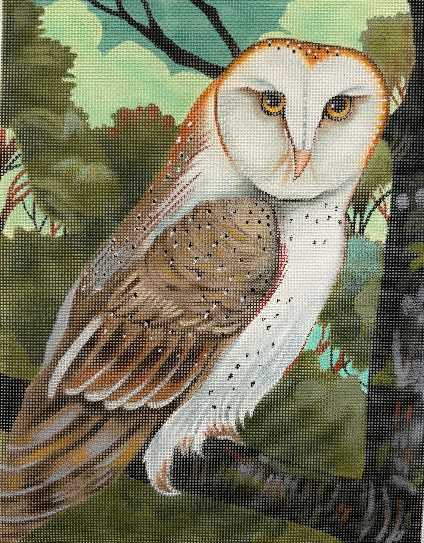 Owl