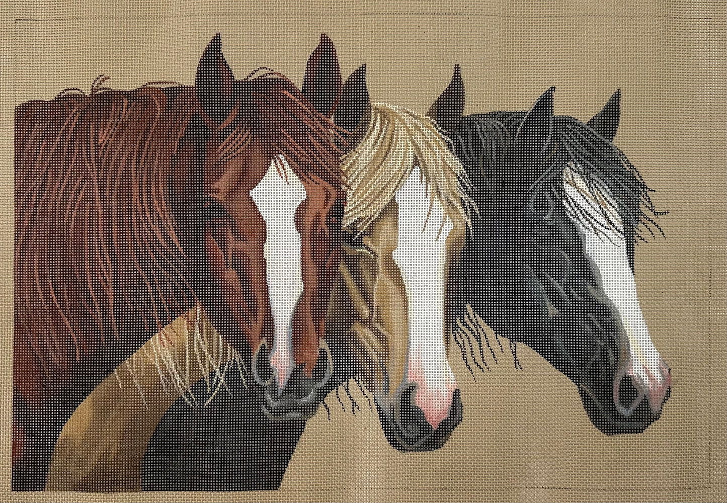 Horses