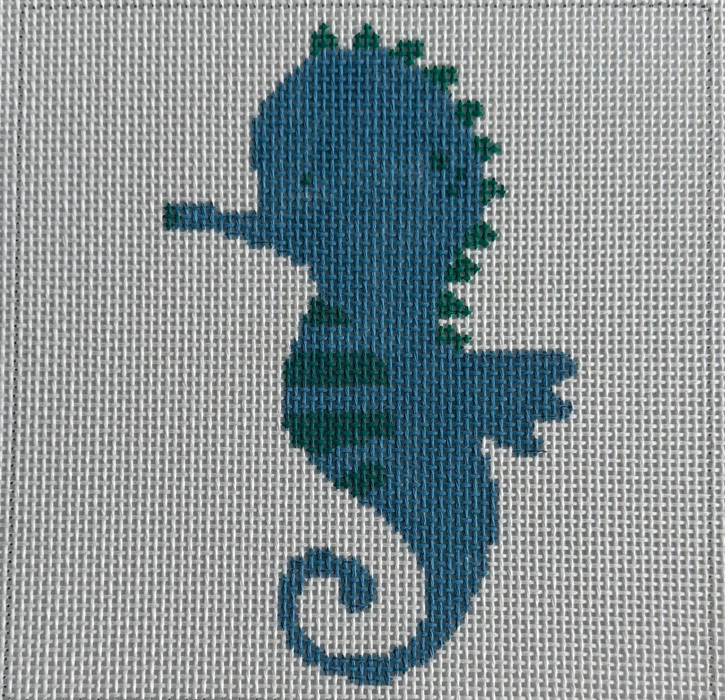 Sea Horse Pal