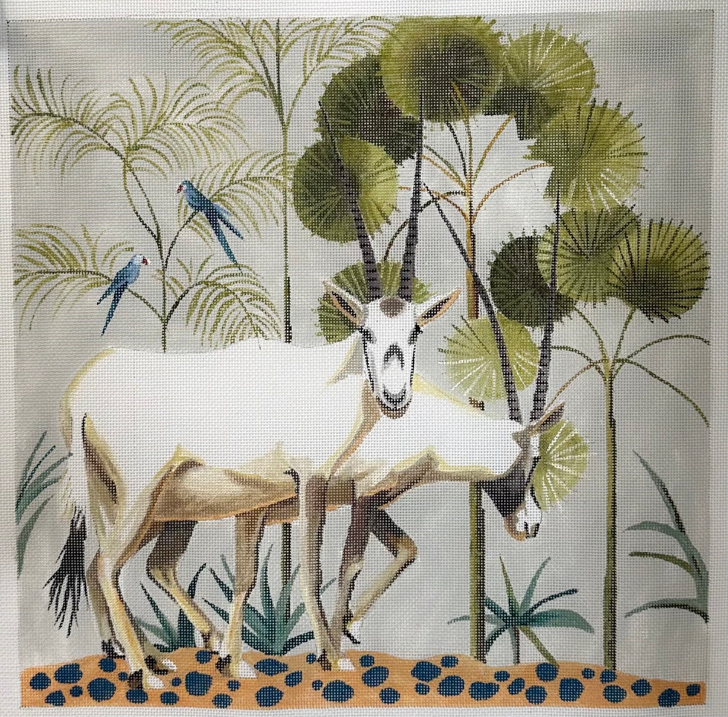 White Antelopes