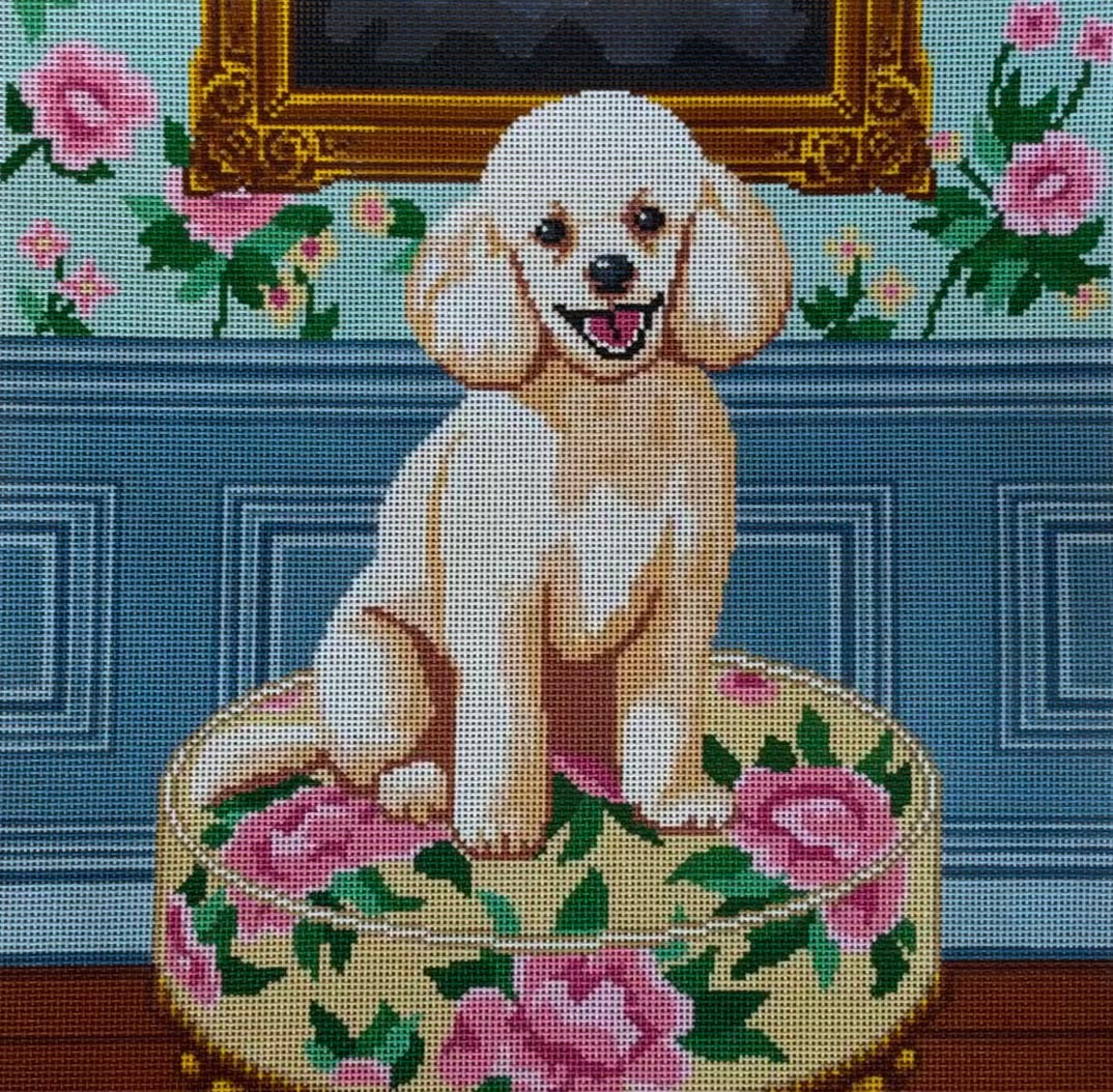 Cream Poodle on Floral Dog Bed