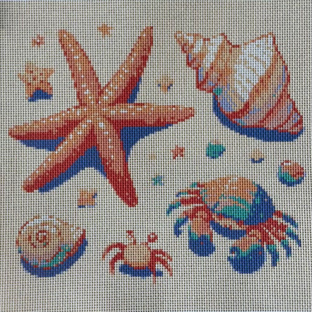 Seashells and Crabs on the Beach