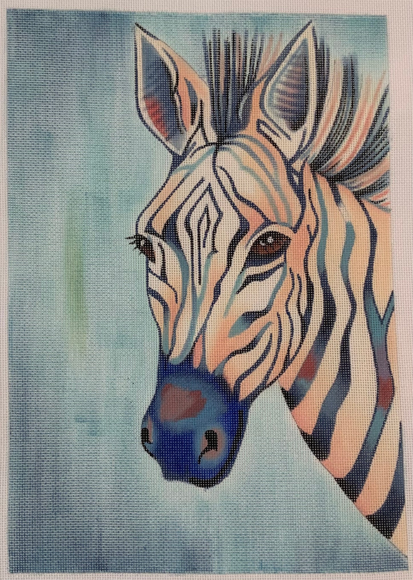 Zebra