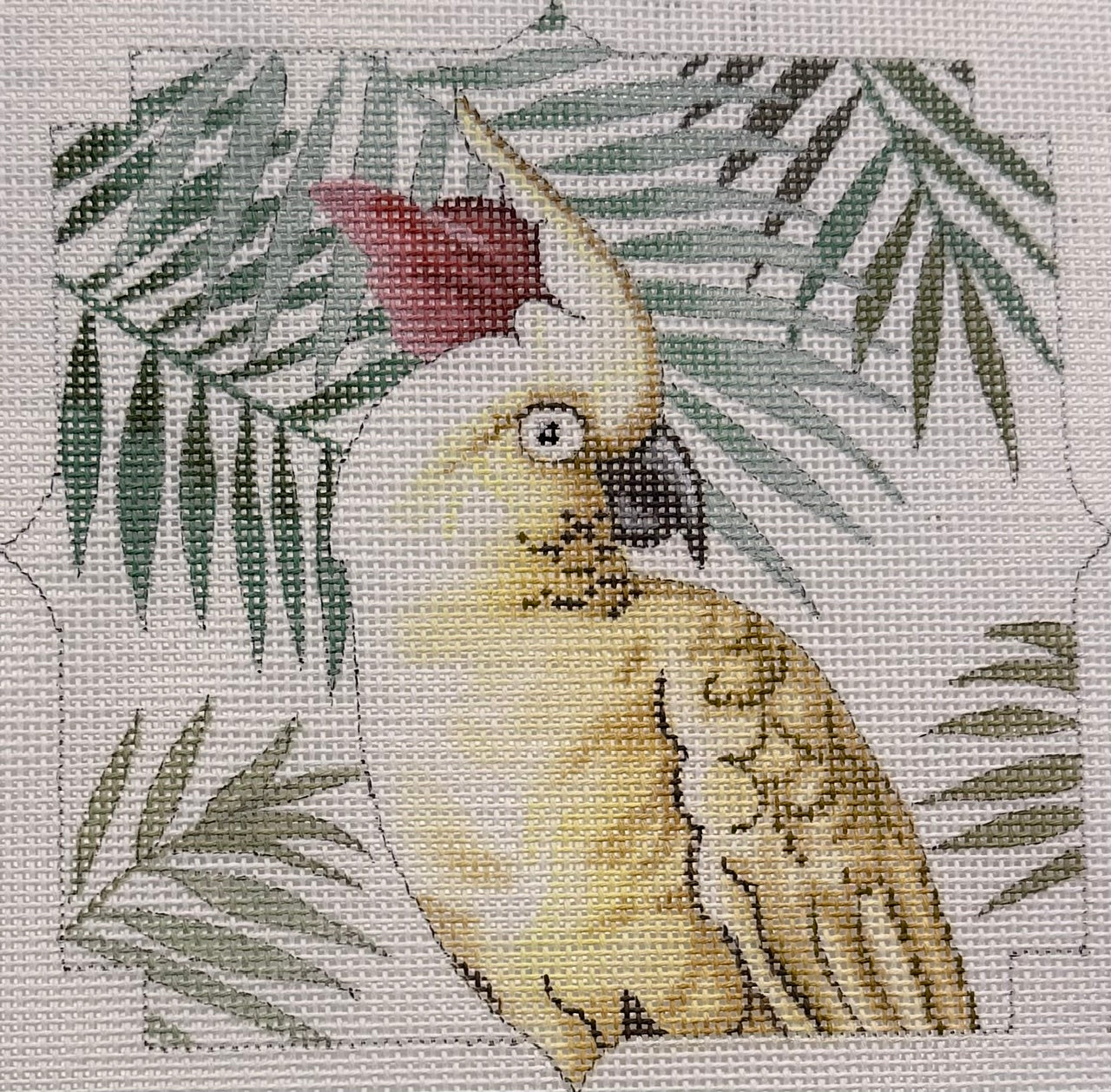 Cockatoo