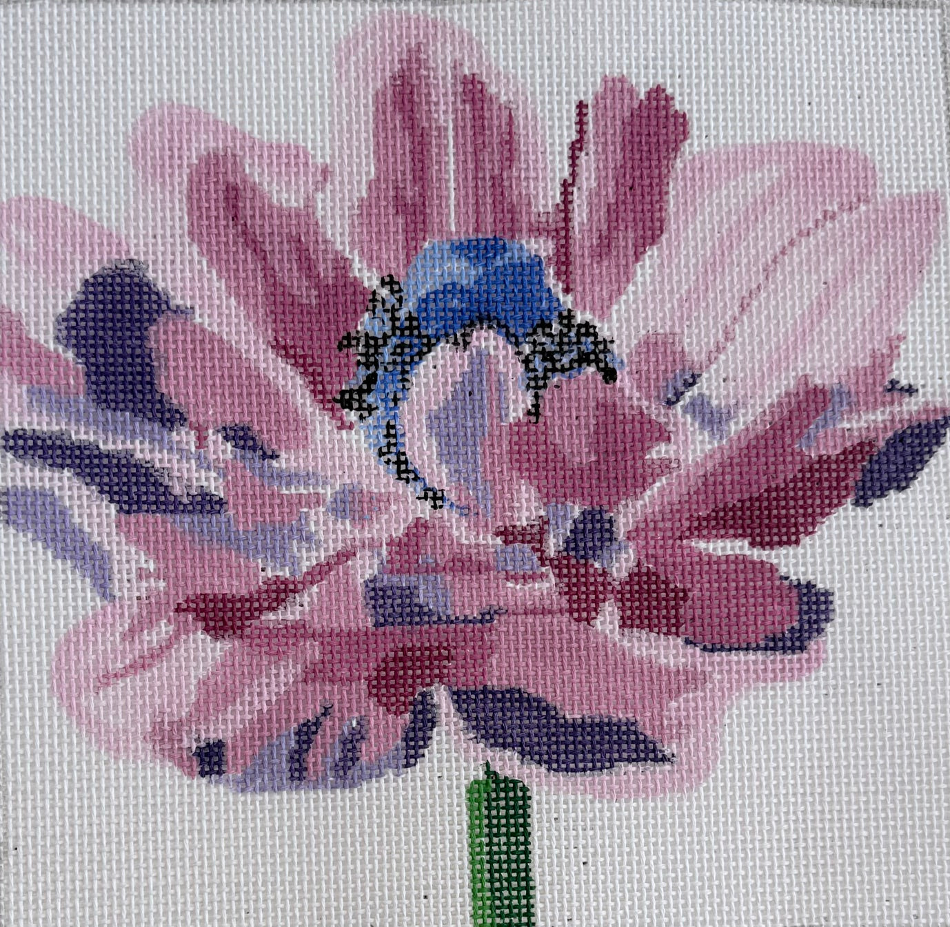 Pink and Blue Flower