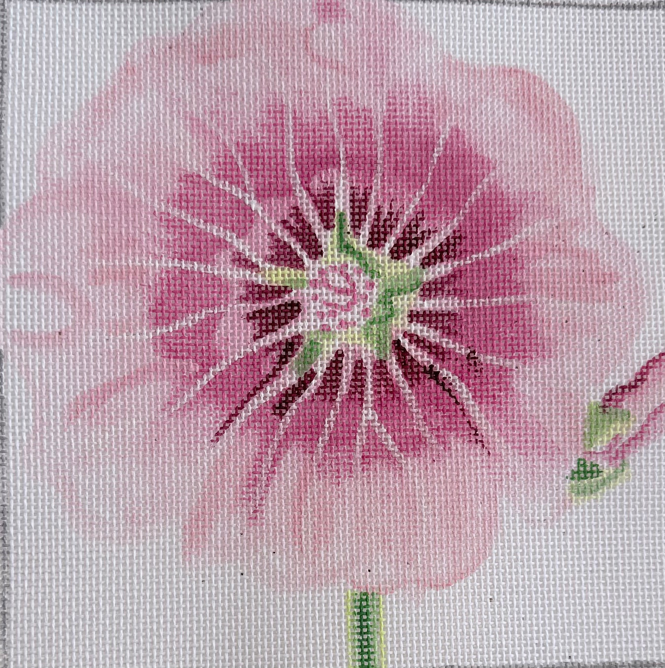 Pink Flower