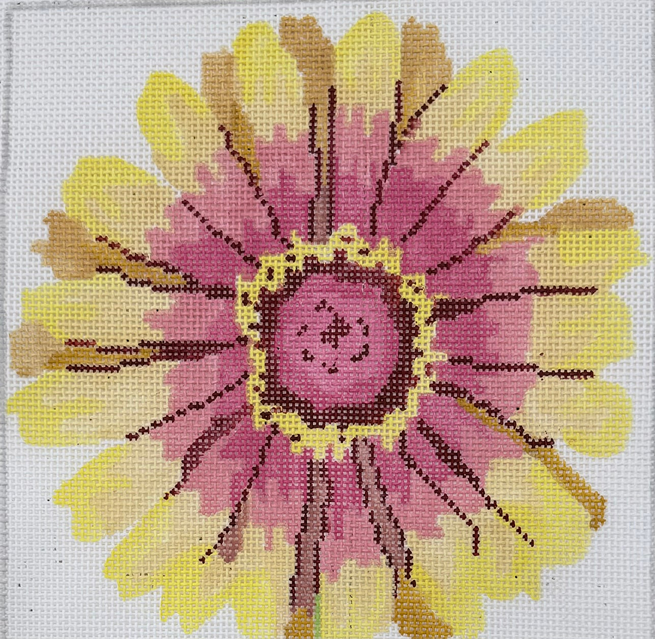 Yellow and Pink Flower