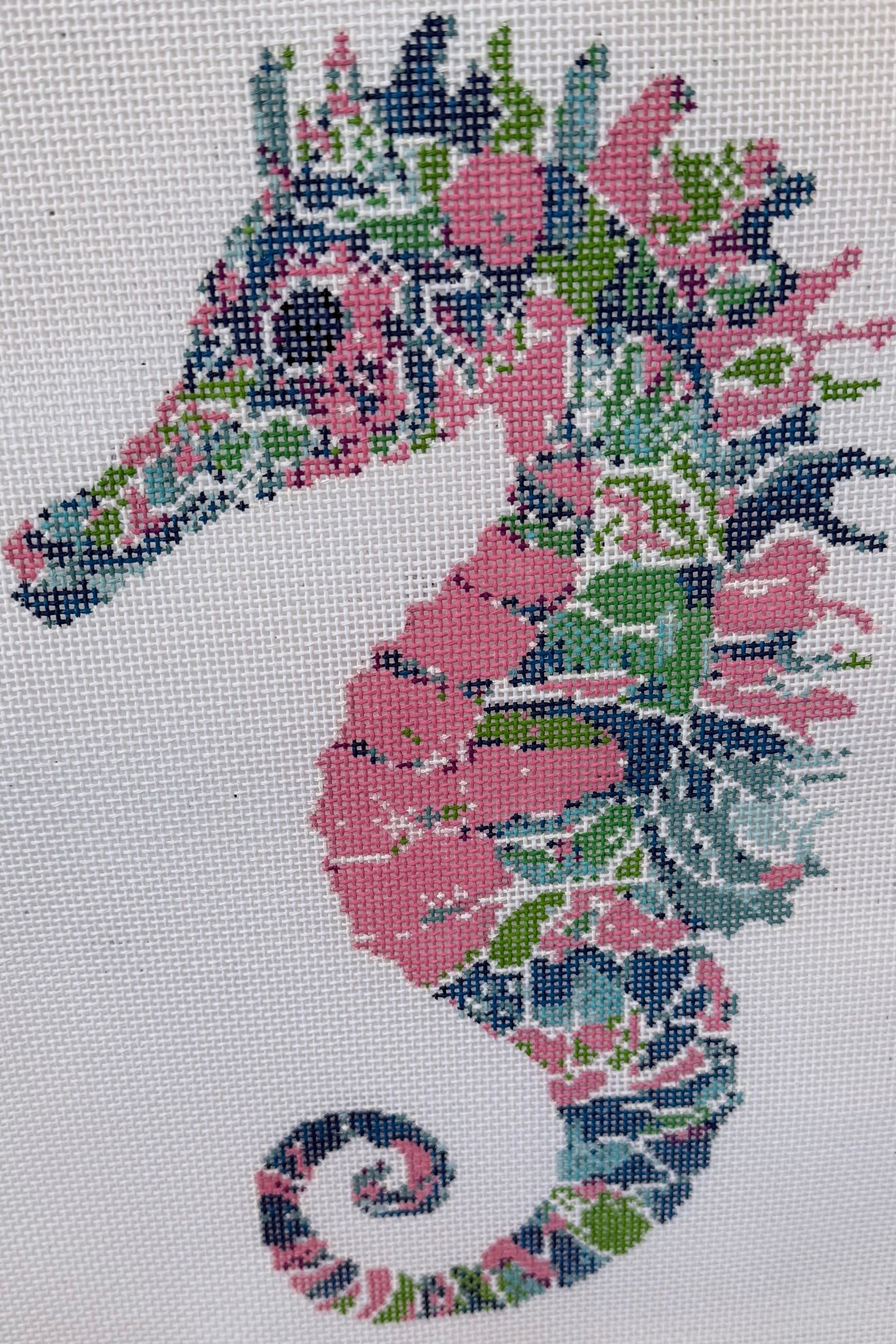Colorful Seahorse