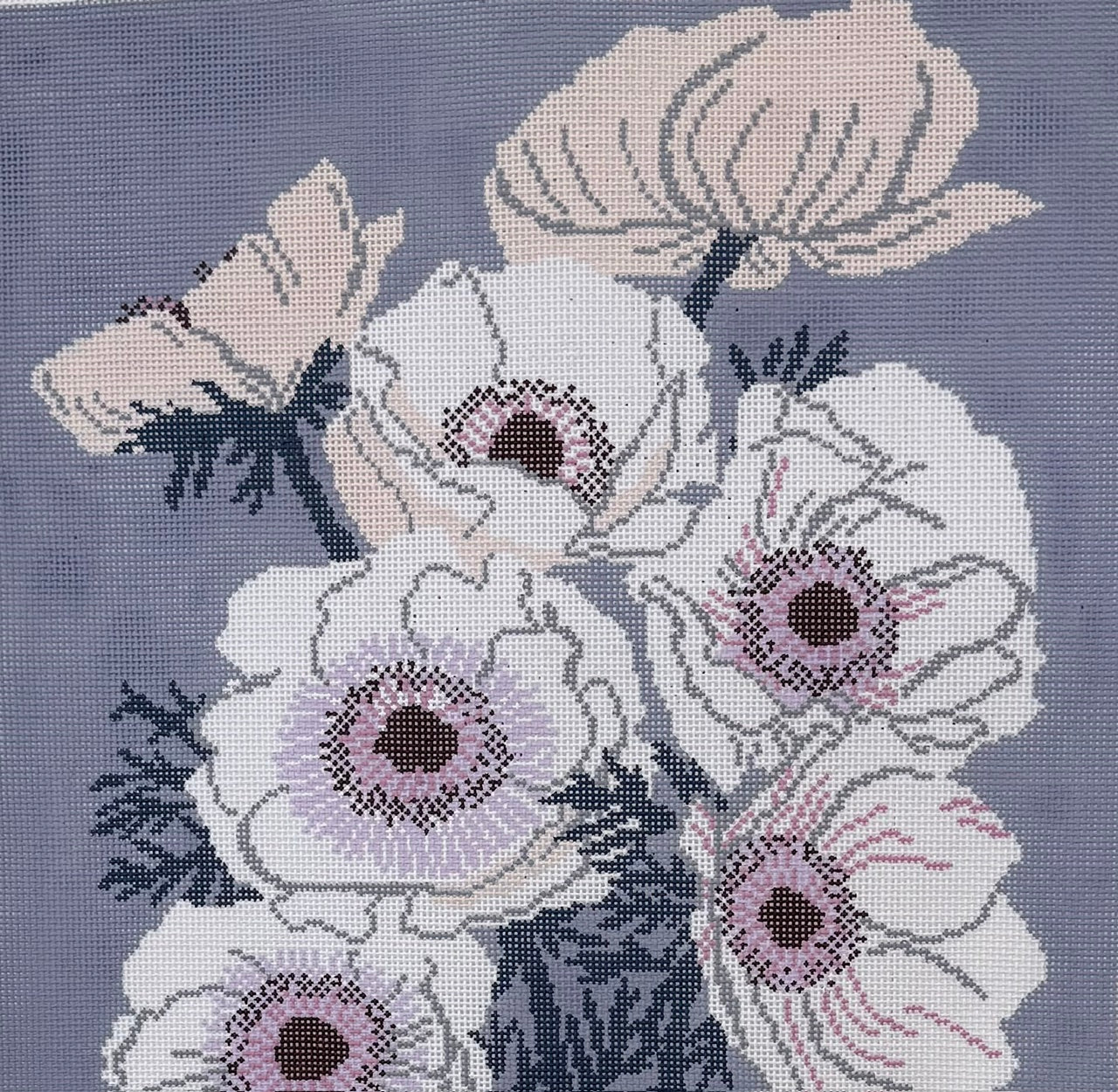 Anemones Flowers