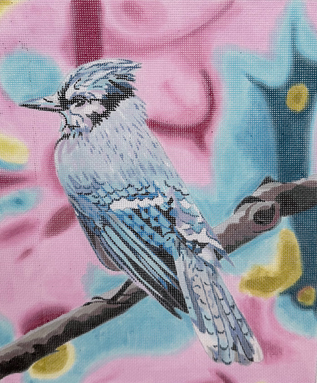 Bluejay on Branch on Pastel Background