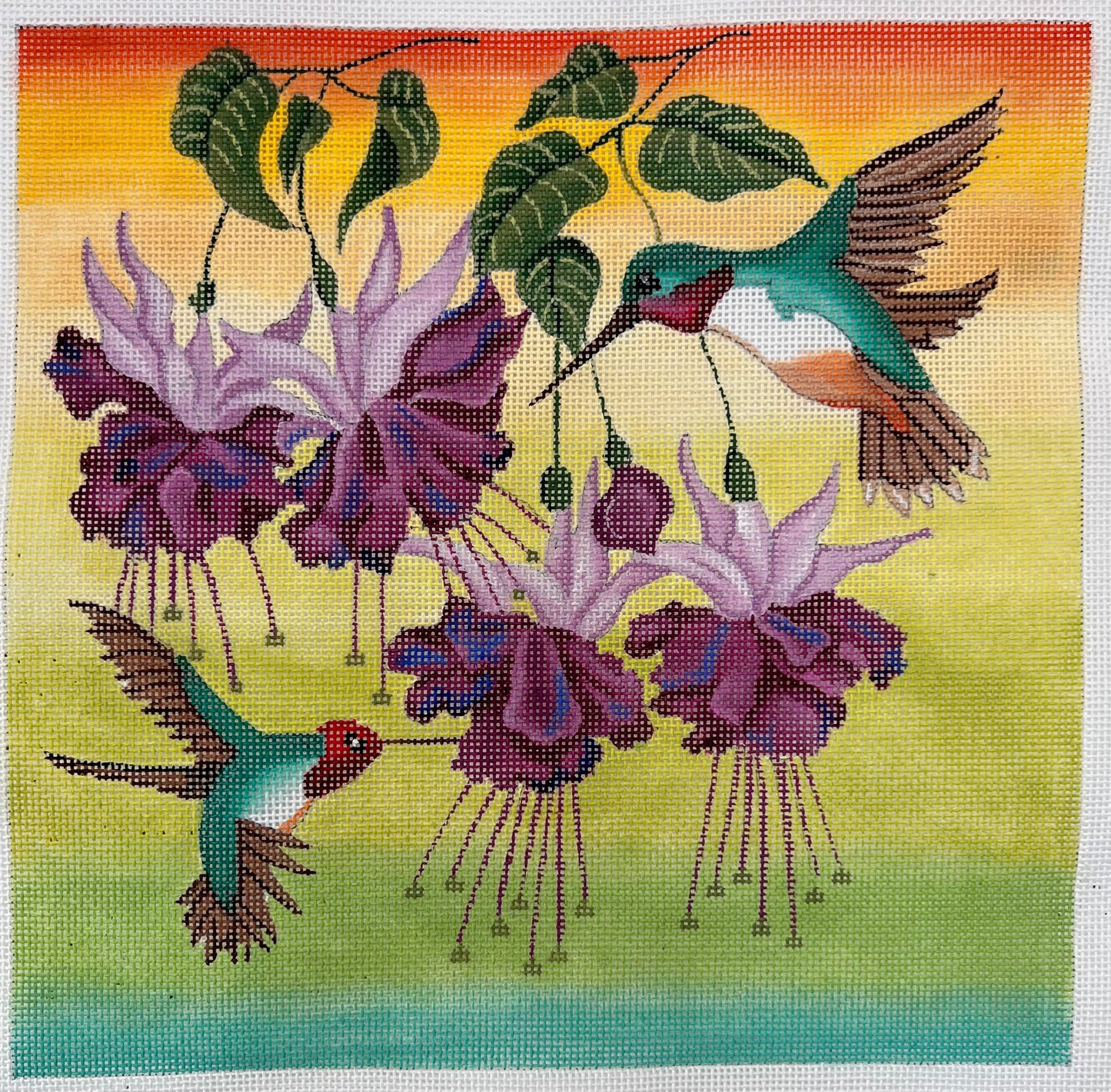 Hummingbird Paradise