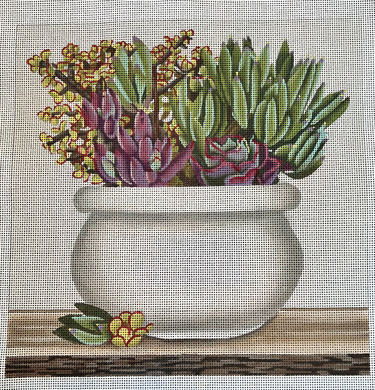 Potted Succulents