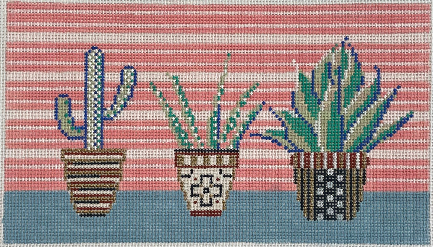 Cactus Trio