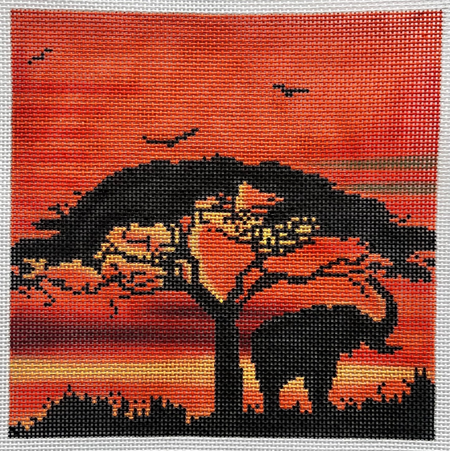 African Sunset