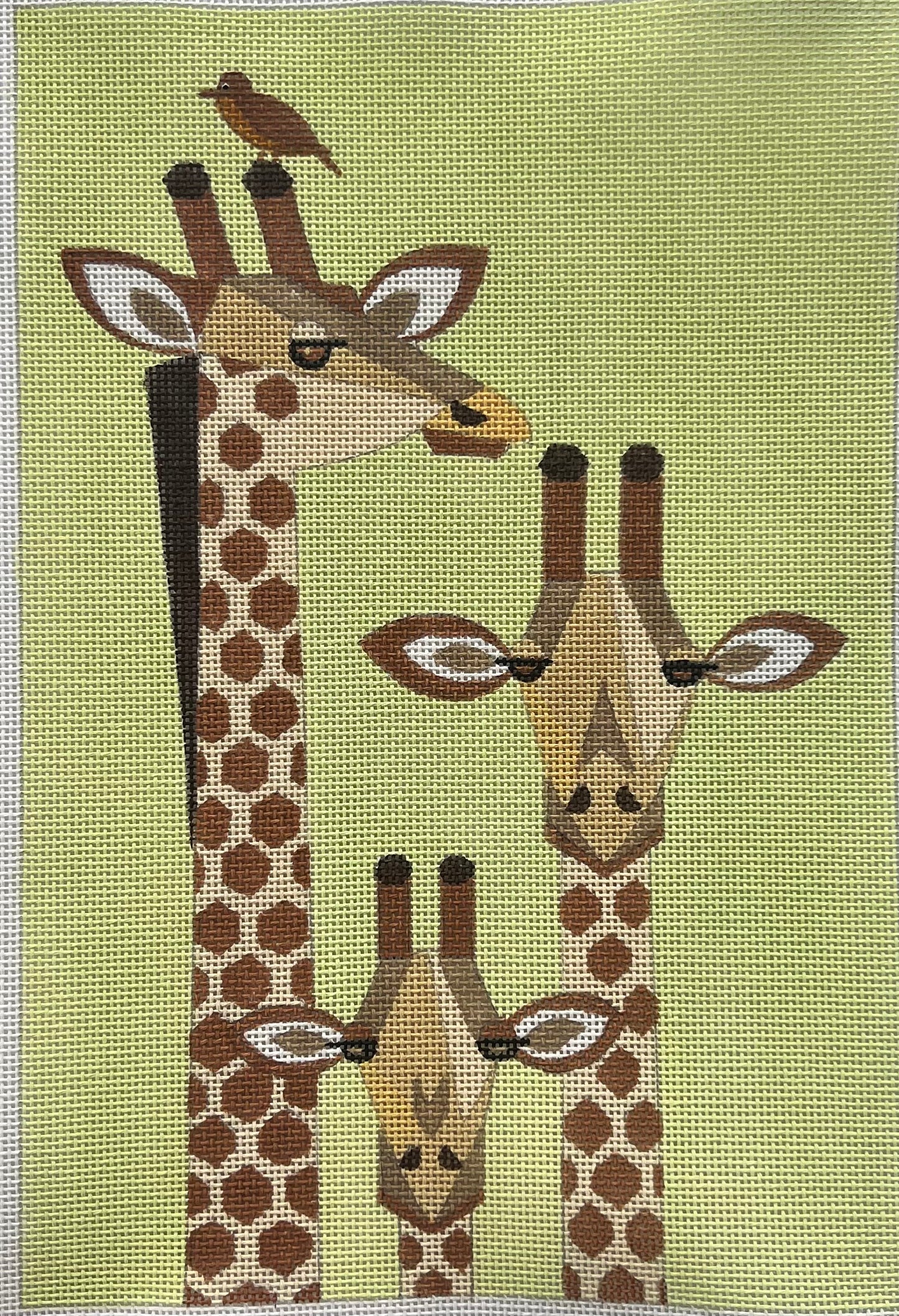 Three Giraffes