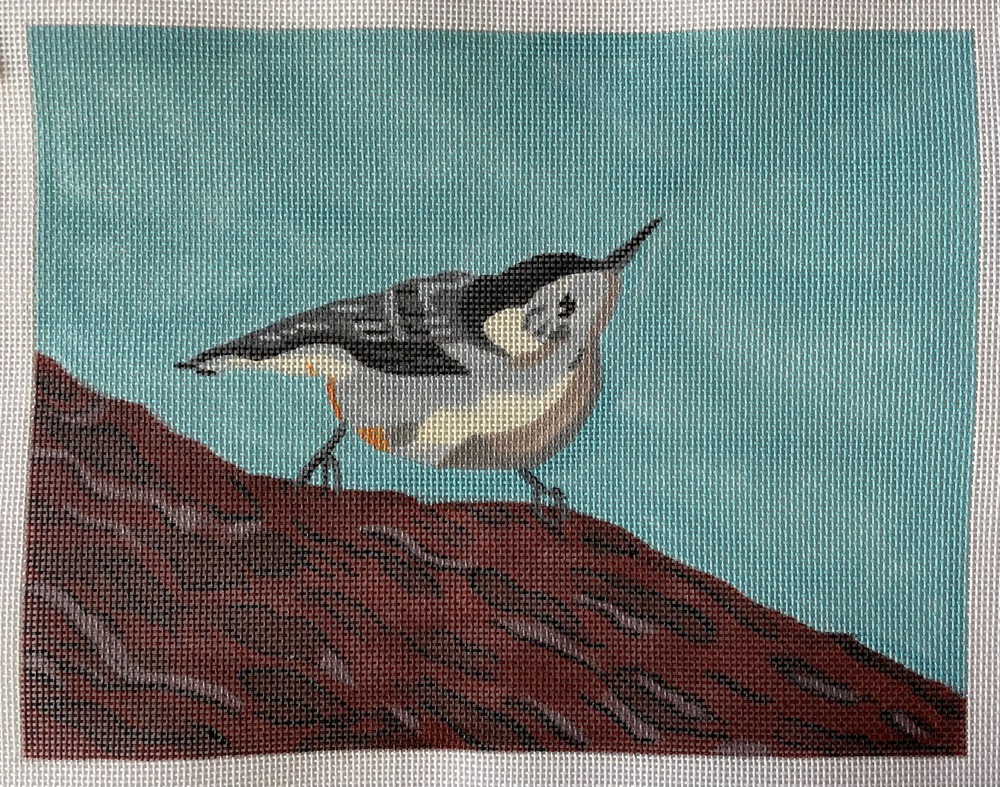 Bird on Branch