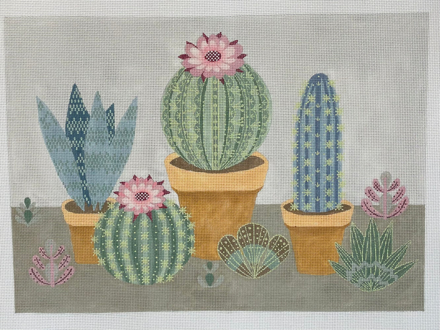 Cactus Medly