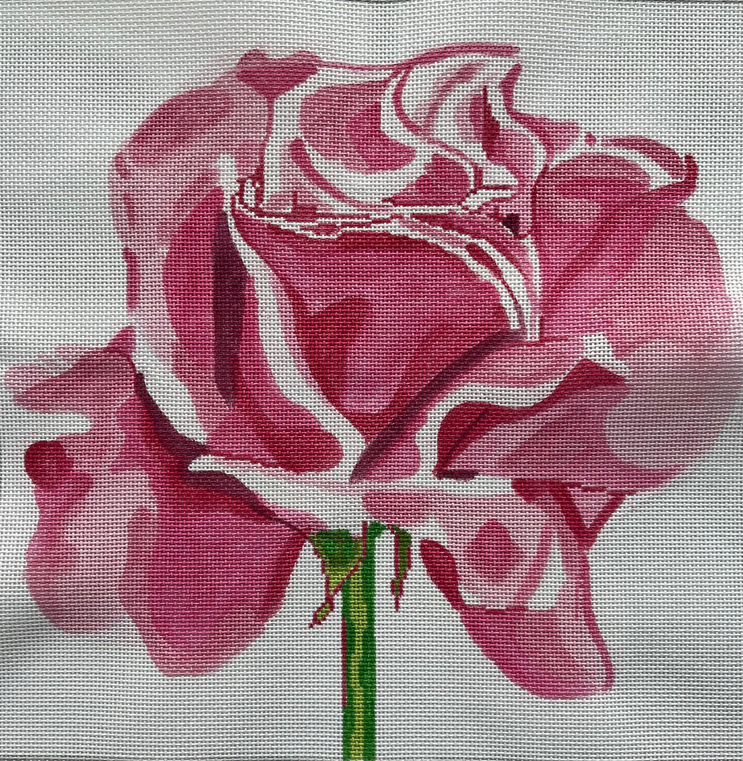 Pink Rose