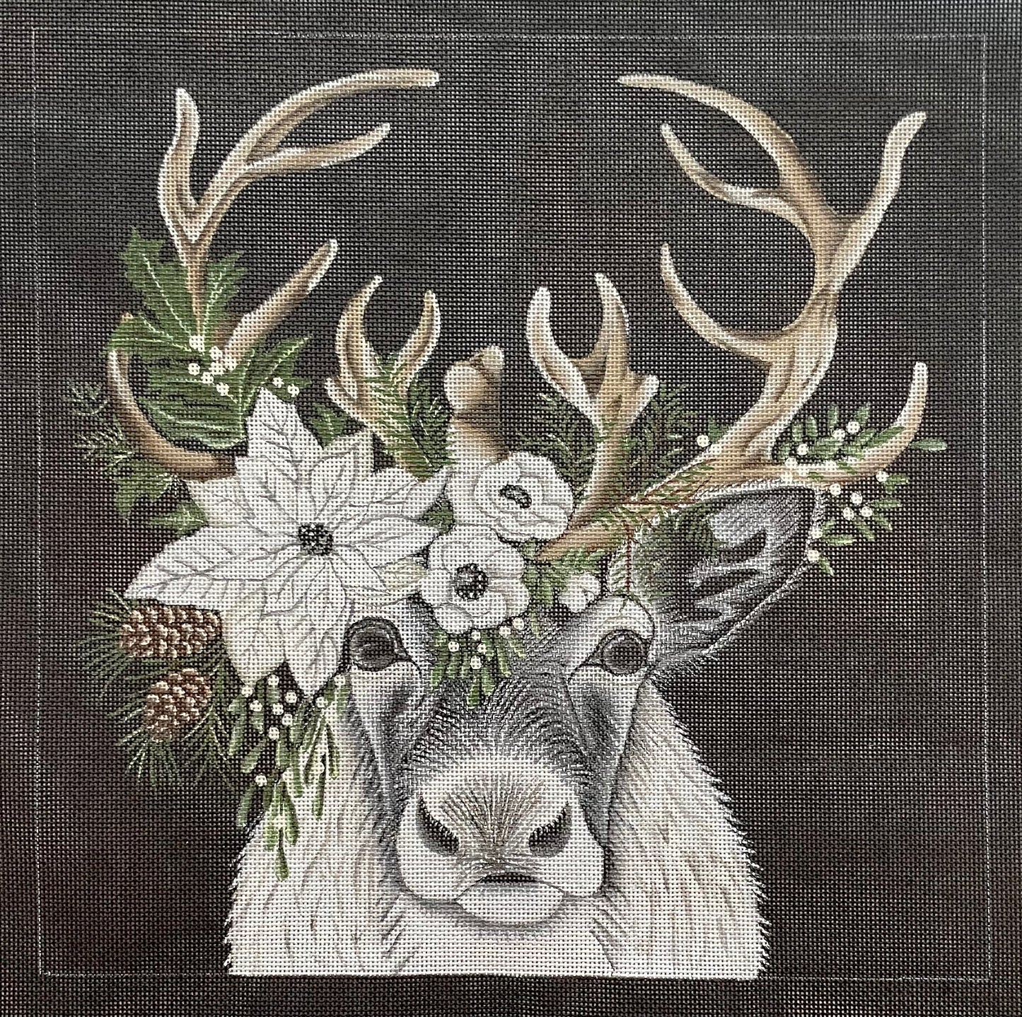 Reindeer