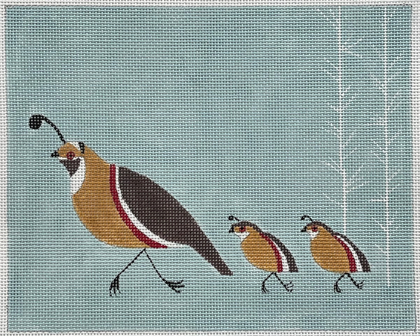 Quail Family