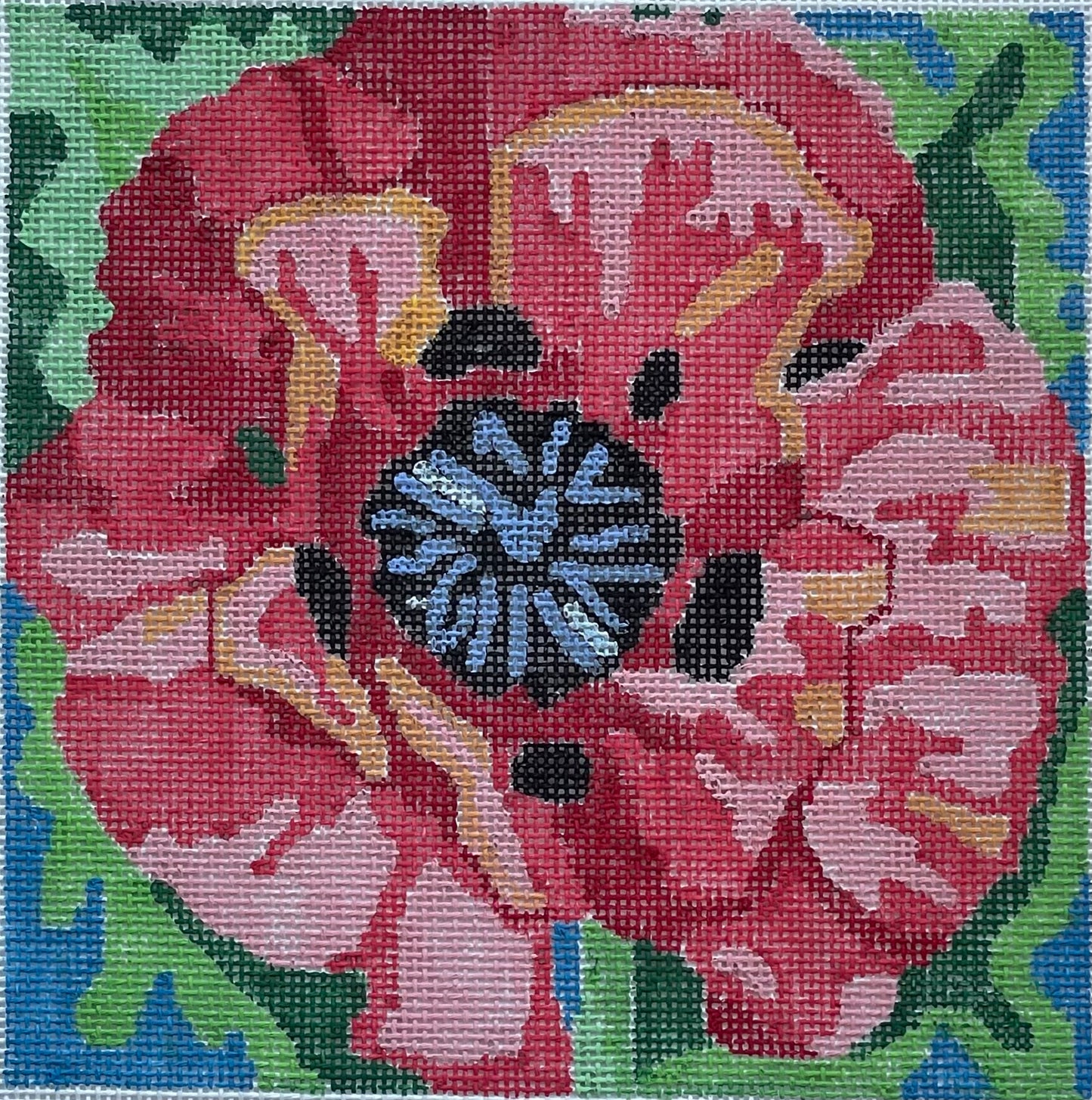 Dazzle Poppy
