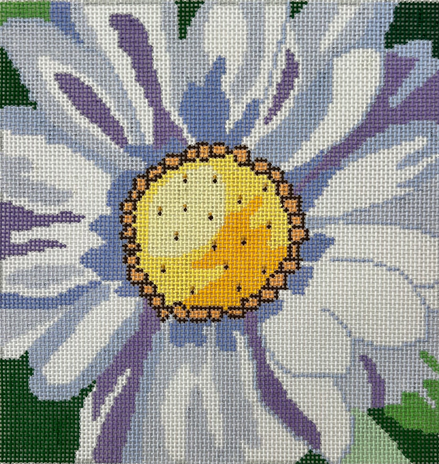 Purple Yellow Flower