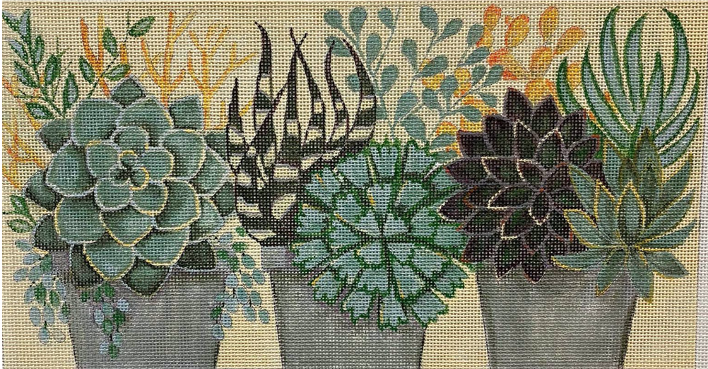 Sweet Succulents