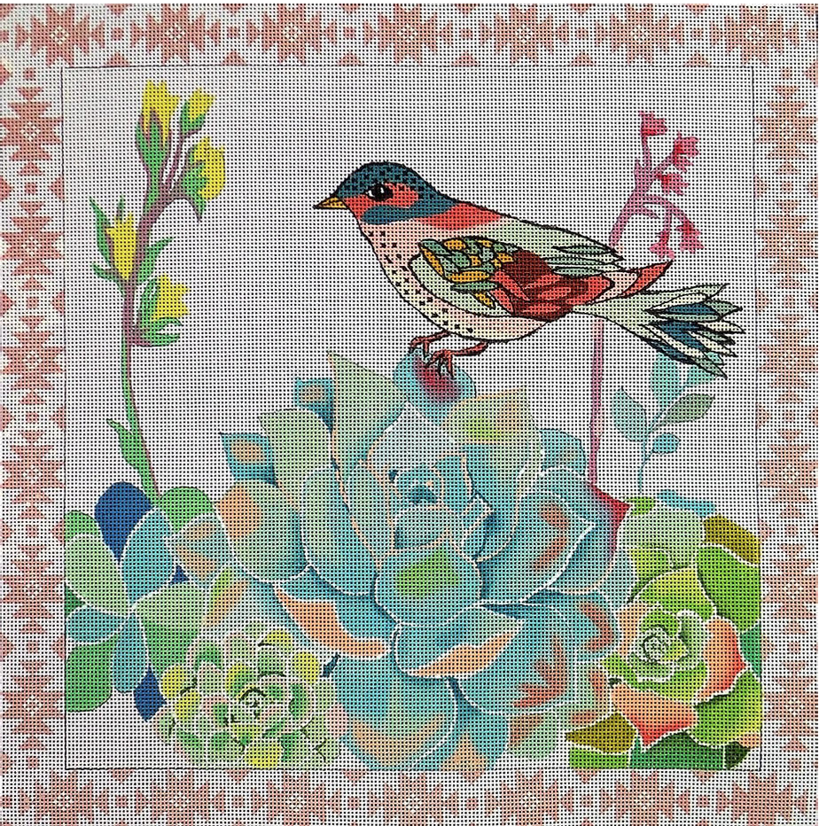 Bird on Succulents