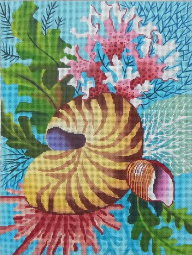 Shells & Coral