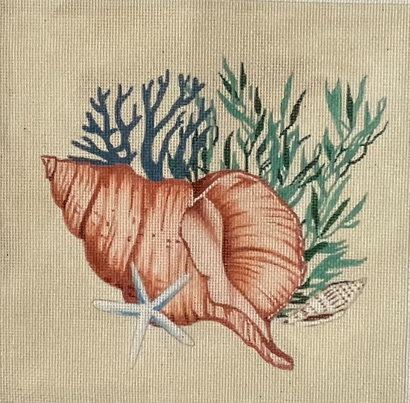 Conch & Starfish