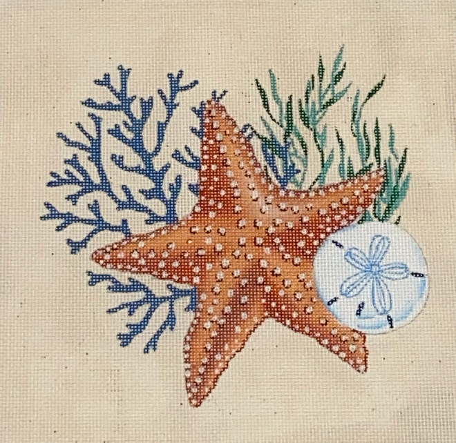 Starfish & Shells