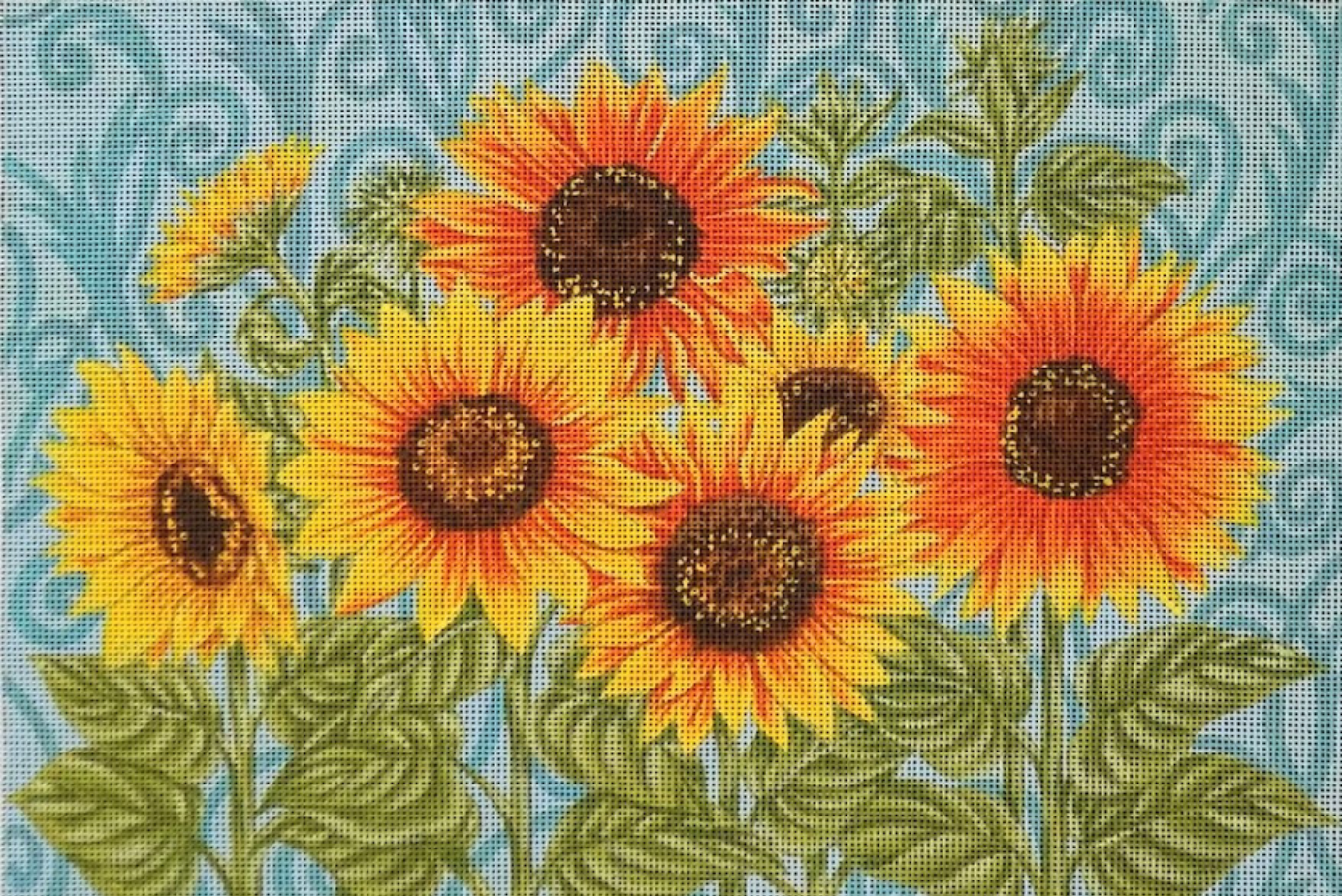 Sunflower Sunshine