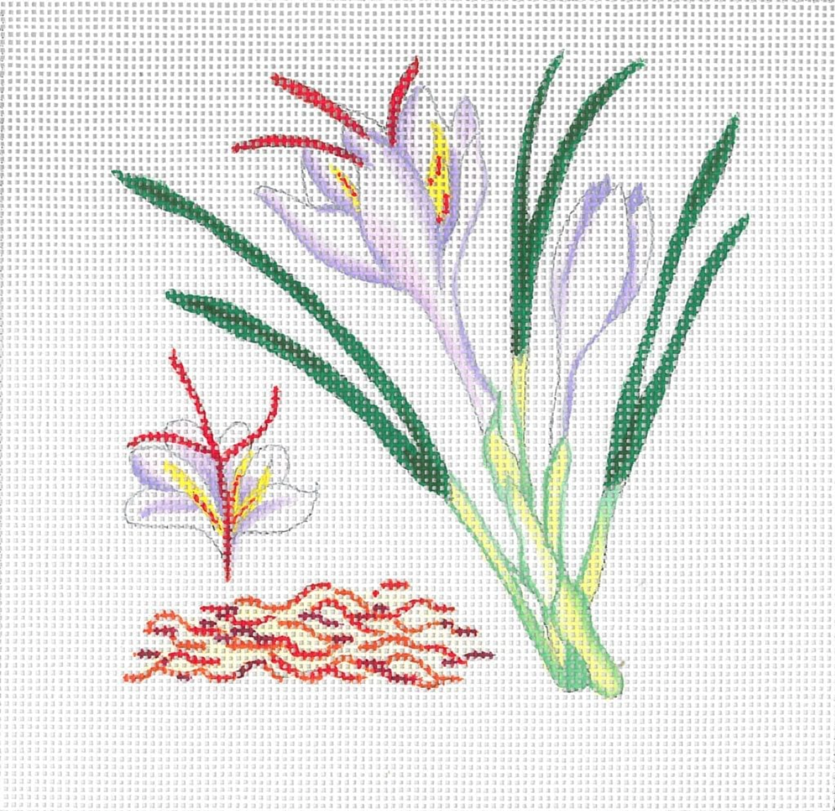 Saffron Botanical