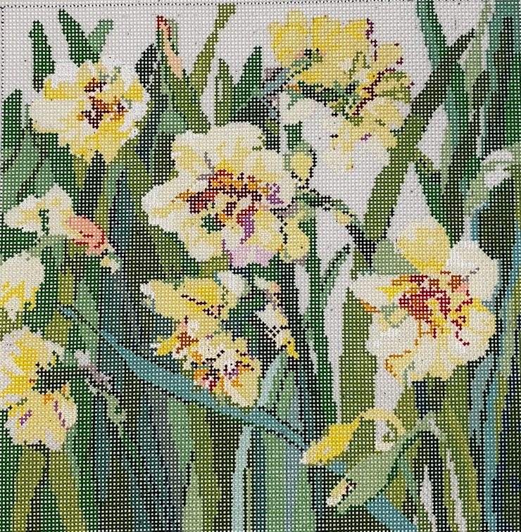 Yellow Daffodils