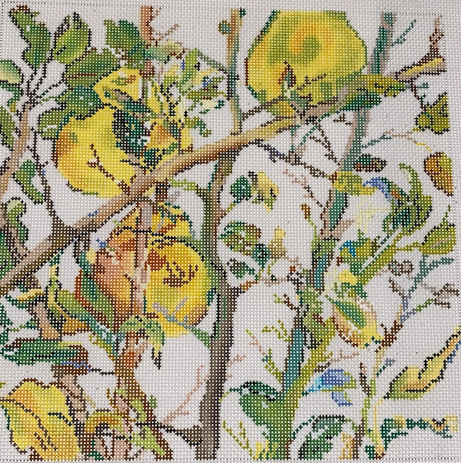 Pear Tree