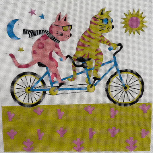 Cats on a Bicycle
