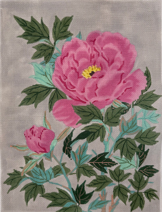 Pink Peony