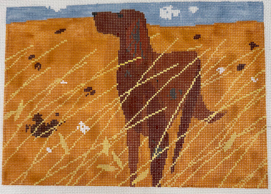 Dog in a Field