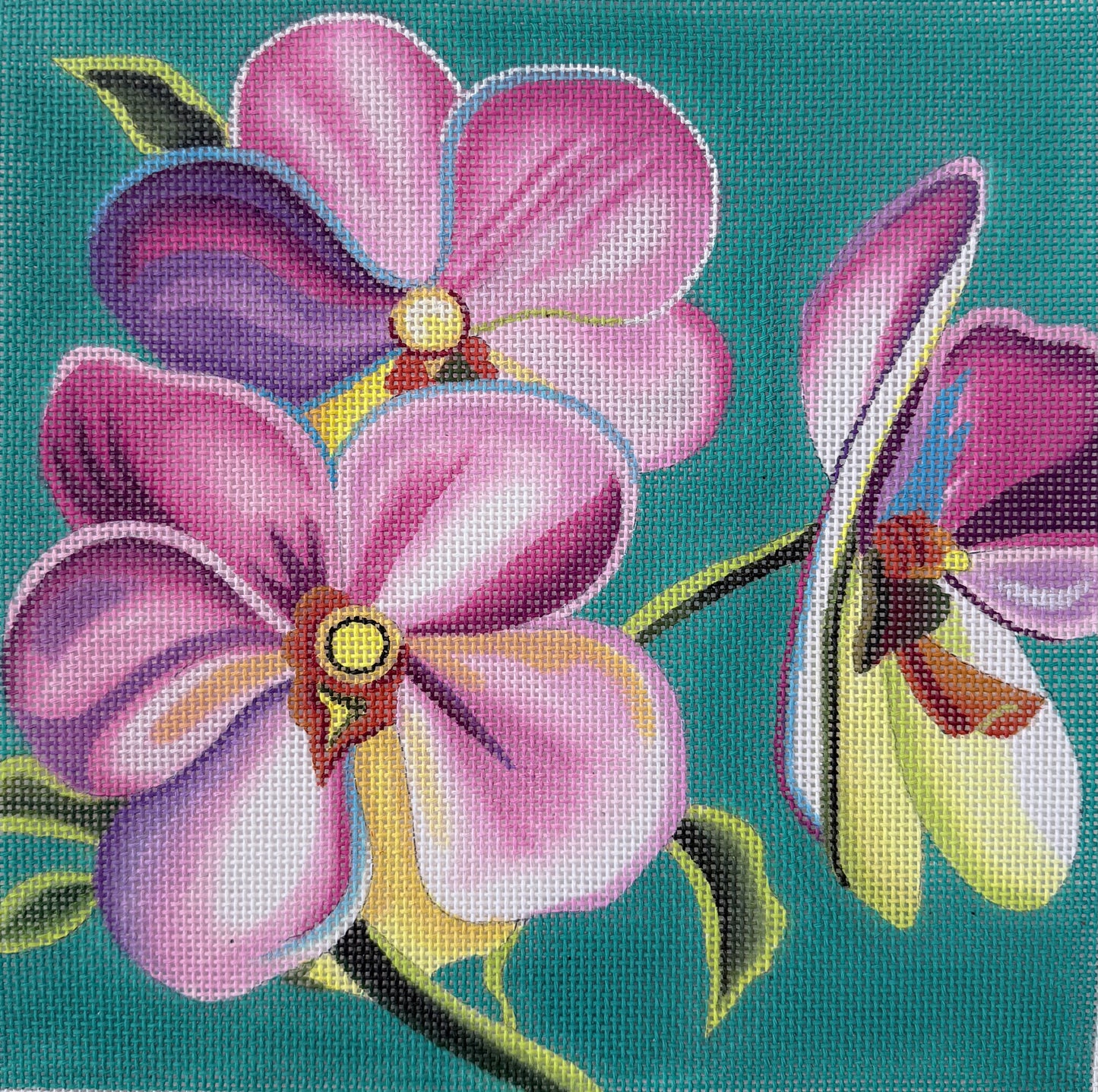 Pink Plumeria on Teal