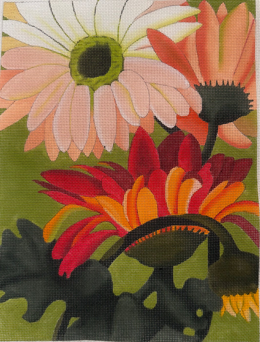 Gerber Daisies