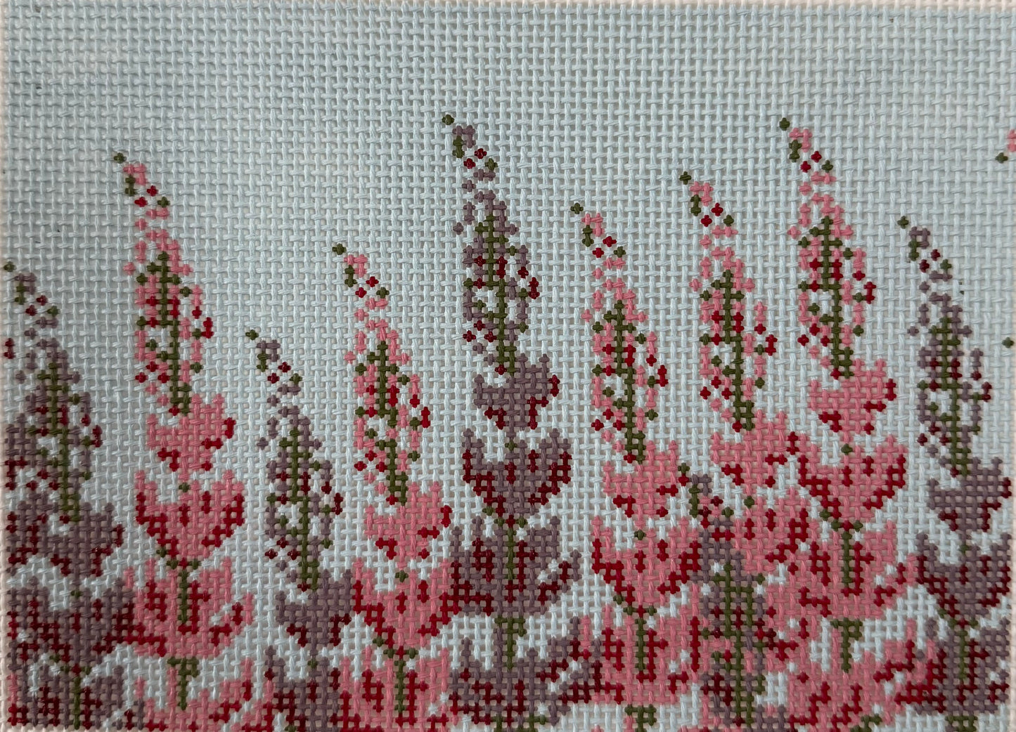 Bluebonnet(Lupine) Field
