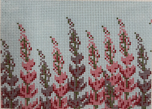 Bluebonnet(Lupine) Field