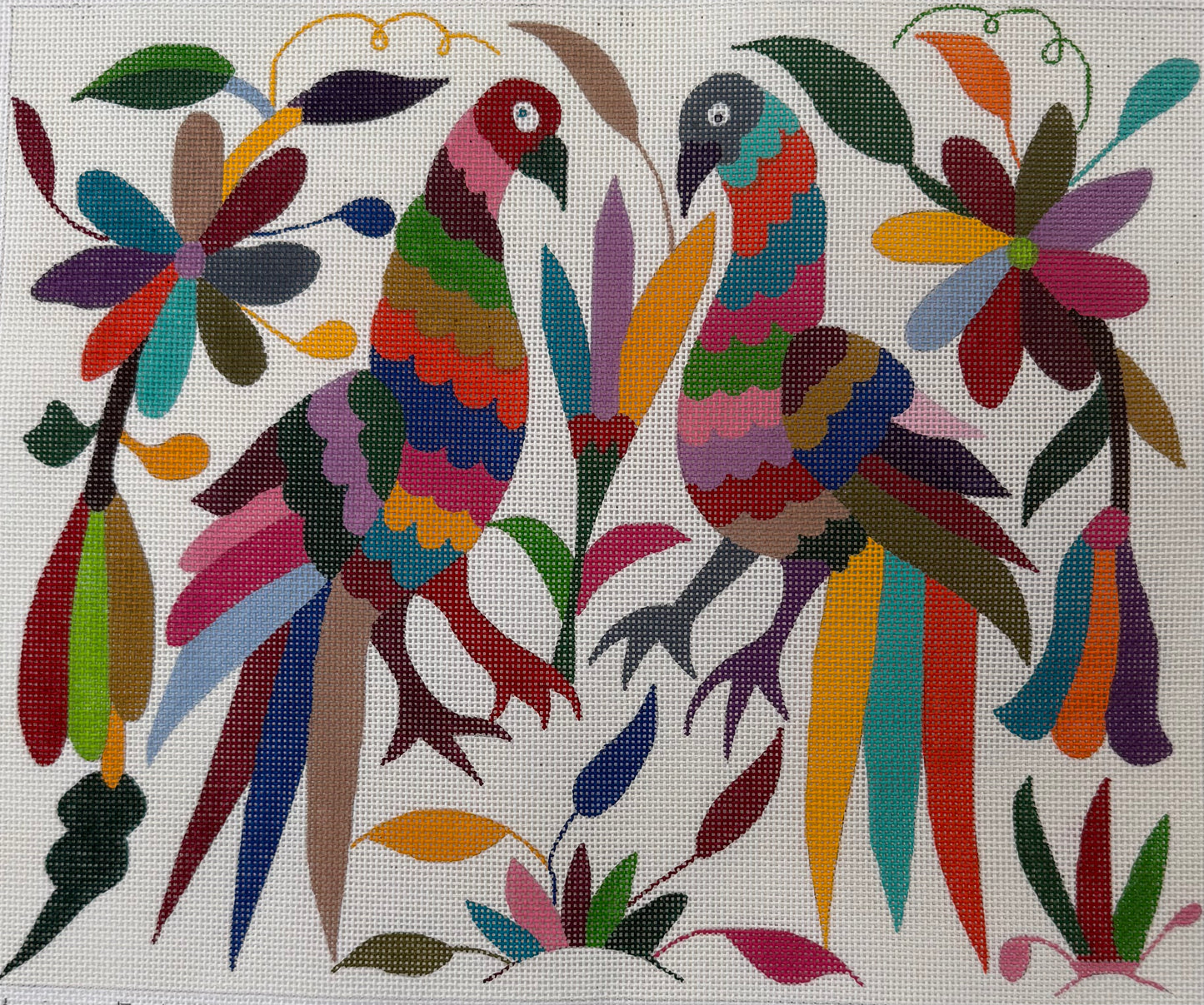 Colorful Birds