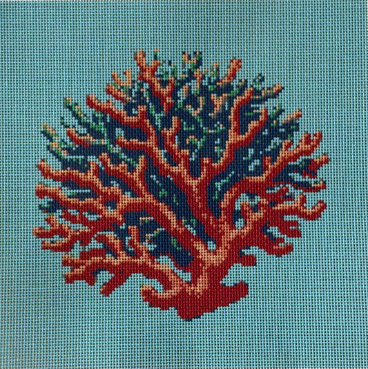 Bright Multicolored Coral