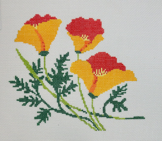 California Poppies